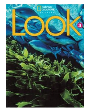 LOOK 3 SB - AMERICAN