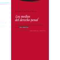 LOS MEDIOS DEL DERECHO PENAL