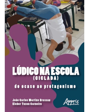 LÚDICO NA ESCOLA (CICLADA): DO OCASO AO PROTAGONISMO