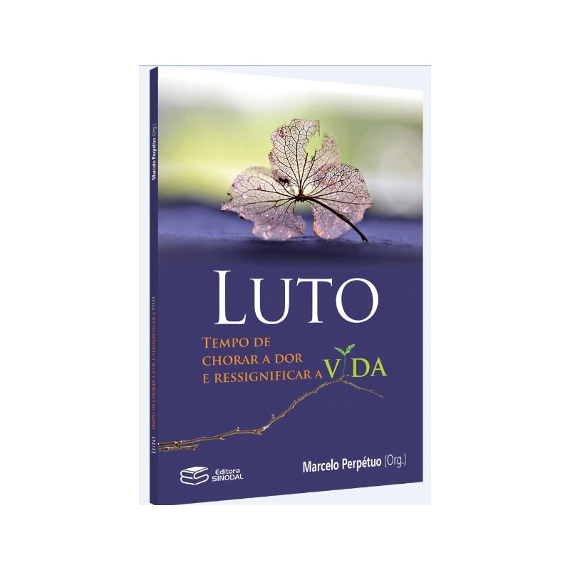LUTO: TEMPO DE CHORAR A DOR E RESSIGNIFICAR A VIDA