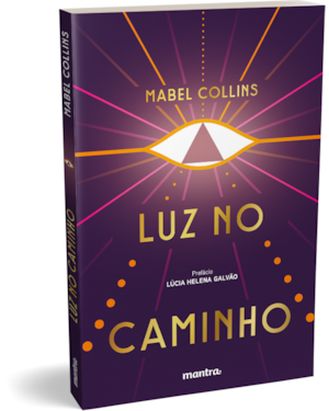 LUZ NO CAMINHO: COM PREFÁCIO DE LÚCIA HELENA GALVÃO