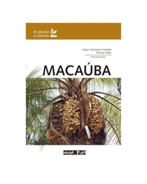 MACAÚBA: DO PLANTIO À COLHEITA
