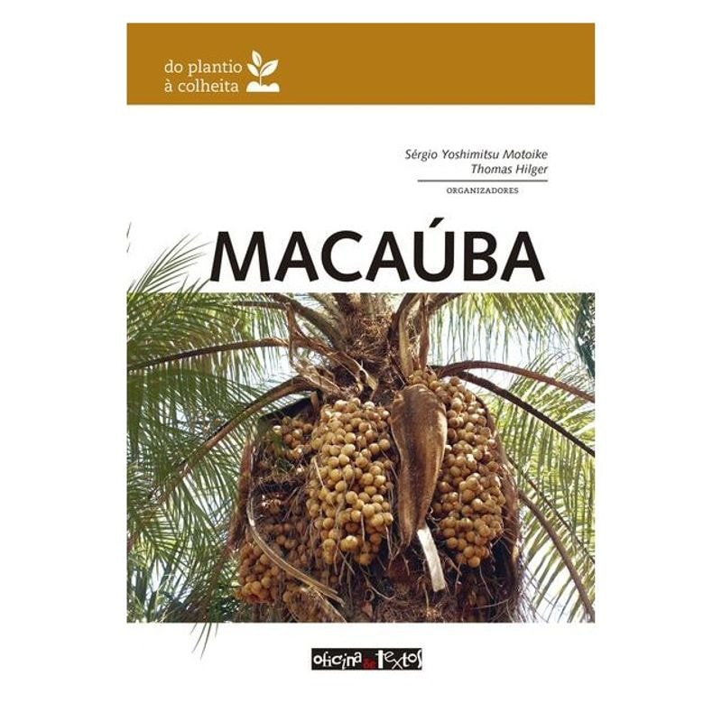 MACAÚBA: DO PLANTIO À COLHEITA