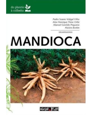 MANDIOCA: DO PLANTIO À COLHEITA