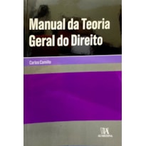 Manual da teoria geral do direito