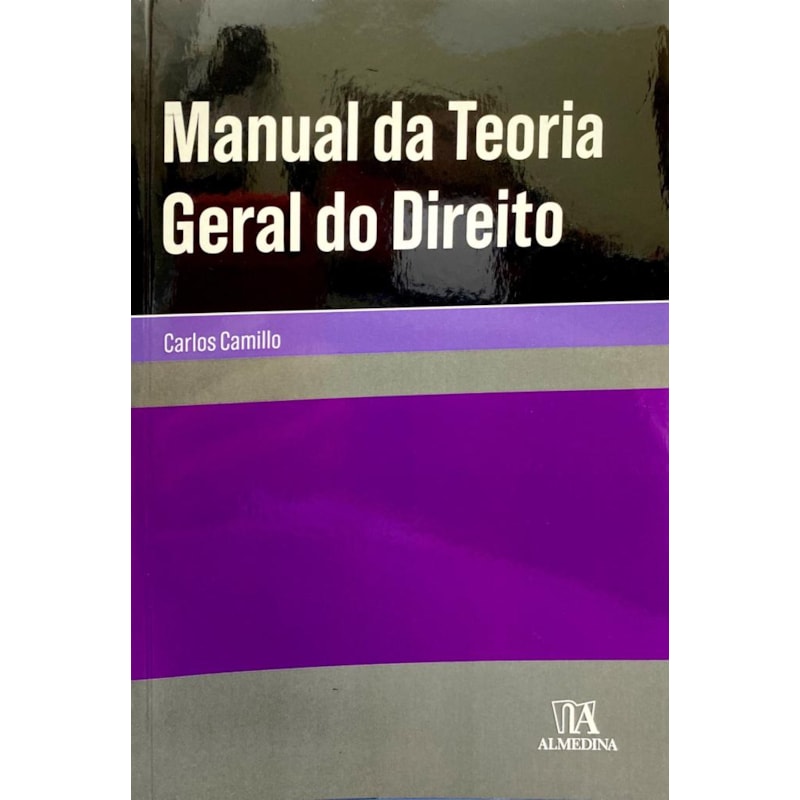 Manual da teoria geral do direito