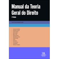 Manual da teoria geral do direito