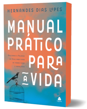 Manual prático para a vida: aplicando a palavra de Deus para viver de forma plena e abençoada