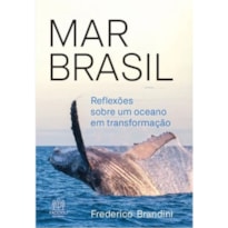 MAR BRASIL: REFLEXÕES SOBRE UM OCEANO EM TRANSFORMAÇÃO