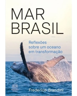 MAR BRASIL: REFLEXÕES SOBRE UM OCEANO EM TRANSFORMAÇÃO