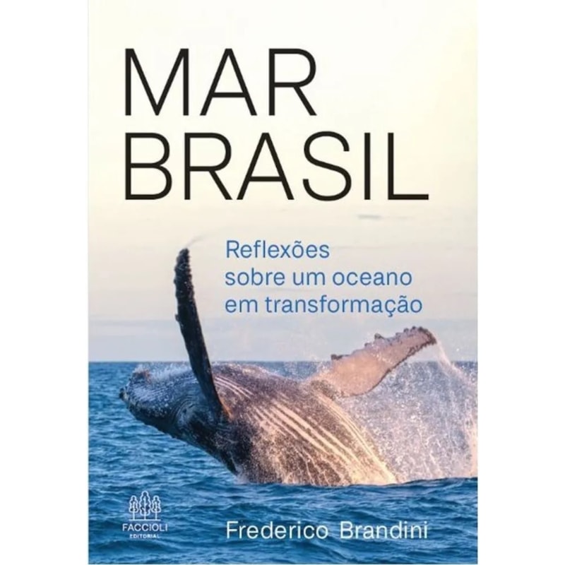 MAR BRASIL: REFLEXÕES SOBRE UM OCEANO EM TRANSFORMAÇÃO