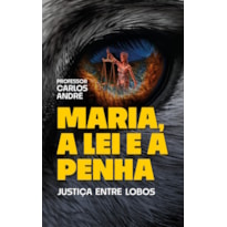 MARIA, A LEI E A PENHA: JUSTIÇA ENTRE LOBOS