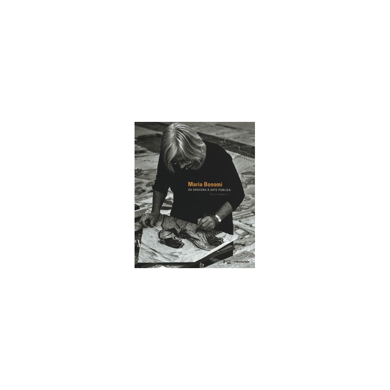 Maria bonomi: da gravura à arte pública