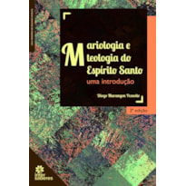MARIOLOGIA E TEOLOGIA DO ESPÍRITO SANTO: UMA INTRODUÇÃO