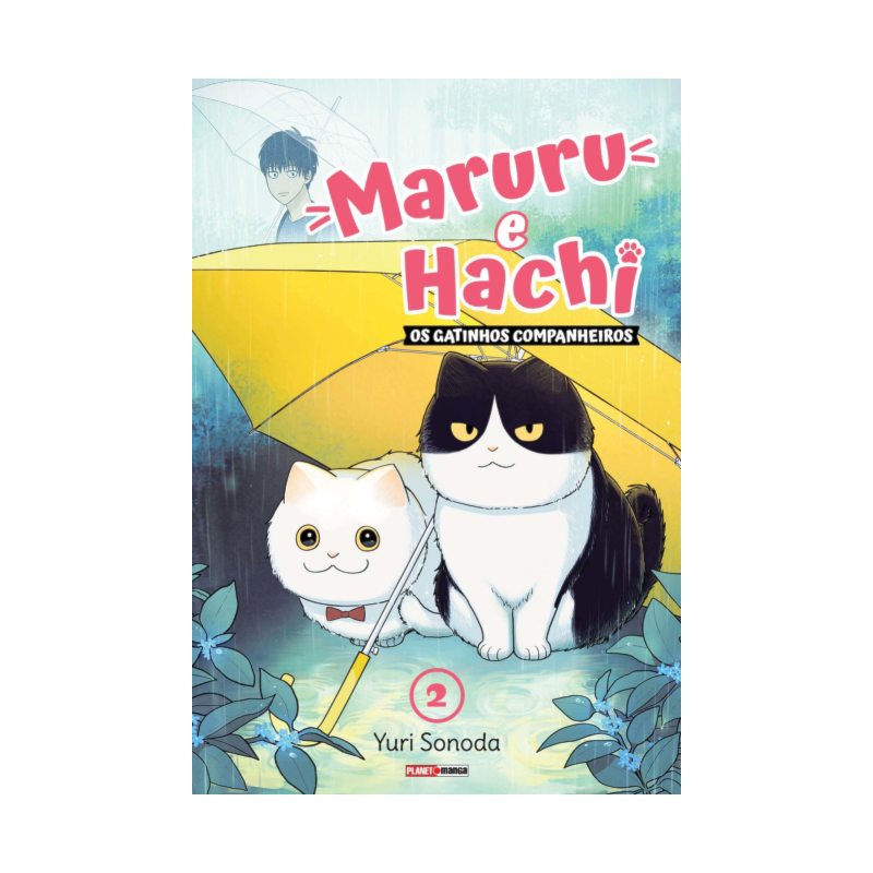 Maruru e Hachi: Os Gatinhos Companheiros 02
