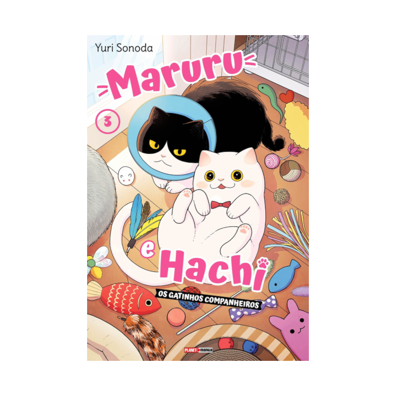Maruru e hachi: os gatinhos companheiros 03