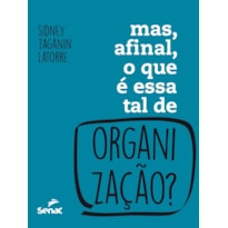 MAS, AFINAL, O QUE É ESSA TAL ORGANIZAÇÃO?