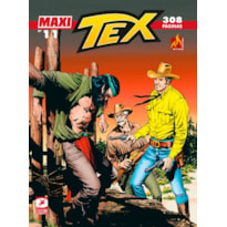Maxi tex nº 011: Justiça Apache