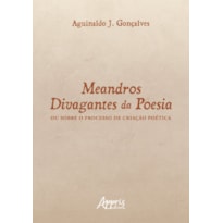 MEANDROS DIVAGANTES DA POESIA: OU SOBRE O PROCESSO DE CRIAÇÃO POÉTICA