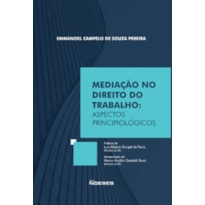 Mediação no direito do trabalho: aspectos principiológicos