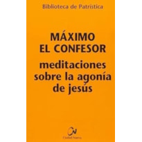 MEDITACIONES SOBRE LA AGONÍA DE JESÚS