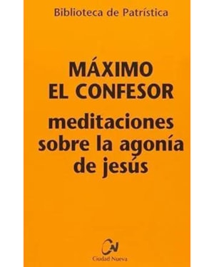 MEDITACIONES SOBRE LA AGONÍA DE JESÚS