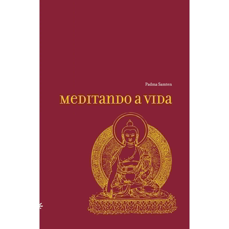MEDITANDO A VIDA