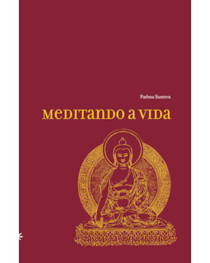 MEDITANDO A VIDA