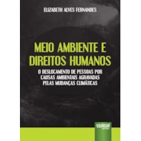 MEIO AMBIENTE E DIREITOS HUMANOS - O DESLOCAMENTO DE PESSOAS POR CAUSAS AMBIENTAIS AGRAVADAS PELAS MUDANÇAS CLIMÁTICAS
