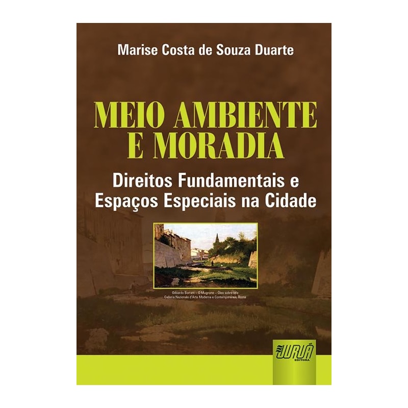 MEIO AMBIENTE E MORADIA - DIREITOS FUNDAMENTAIS E ESPAÇOS ESPECIAIS NA CIDADE