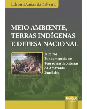 MEIO AMBIENTE, TERRAS INDÍGENAS E DEFESA NACIONAL - DIREITOS FUNDAMENTAIS EM TENSÃO NAS FRONTEIRAS DA AMAZÔNIA BRASILEIRA