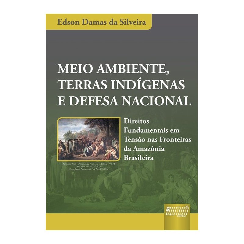 MEIO AMBIENTE, TERRAS INDÍGENAS E DEFESA NACIONAL - DIREITOS FUNDAMENTAIS EM TENSÃO NAS FRONTEIRAS DA AMAZÔNIA BRASILEIRA
