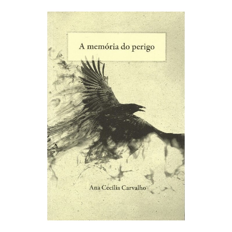 MEMÓRIA DO PERIGO, A