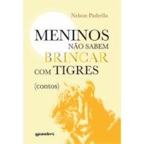 Meninos não sabem brincar com tigres (contos)