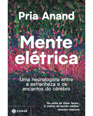 MENTE ELÉTRICA: UMA NEUROLOGISTA ENTRE A ESTRANHEZA E OS ENCANTOS DO CÉREBRO