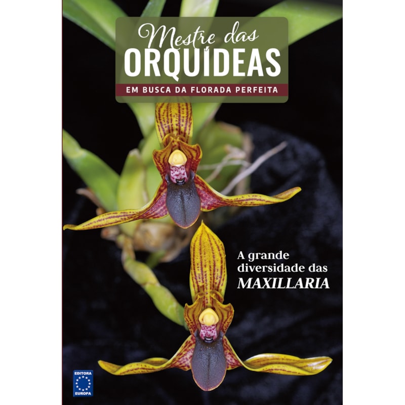 MESTRE DAS ORQUÍDEAS - VOLUME 18: A GRANDE DIVERSIDADE DAS MAXILLARIA