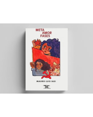 META AMOR FASES