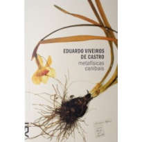 Metafísicas canibais