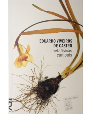 Metafísicas canibais