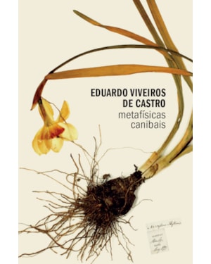 METAFÍSICAS CANIBAIS: ELEMENTOS PARA UMA ANTROPOLIA PÓS-ESTRUTURAL