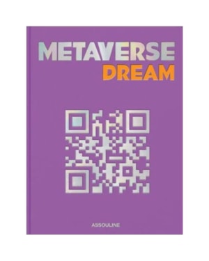 METAVERSE DREAM