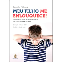 MEU FILHO ME ENLOUQUECE!: COMPREENDA O QUE SE PASSA NA CABEÇA DAS CRIANÇAS DE 6 A 11 ANOS