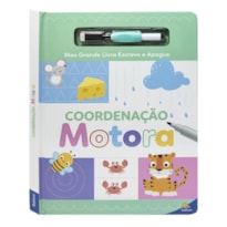Meu grande livro escreva e apague: Coordenação Motora
