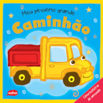 MEU PEQUENO GRANDE CAMINHÃO