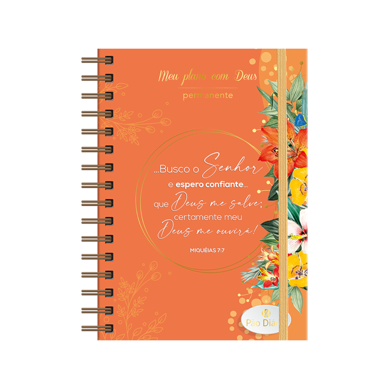 Meu plano com Deus - Confiante: Gerenciar sua vida pessoal e espiritual ficou mais fácil - incluí365 meditações