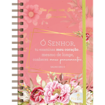 Meu plano com Deus - Intimidade: Gerenciar sua vida pessoal e espiritual ficou mais fácil - incluí365 meditações