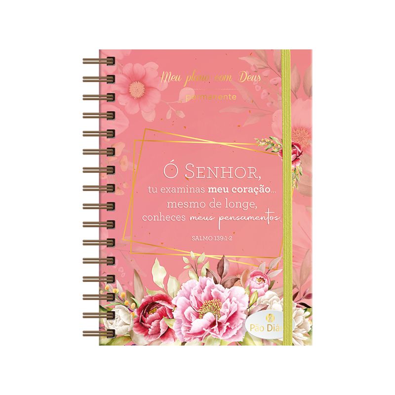 Meu plano com Deus - Intimidade: Gerenciar sua vida pessoal e espiritual ficou mais fácil - incluí365 meditações