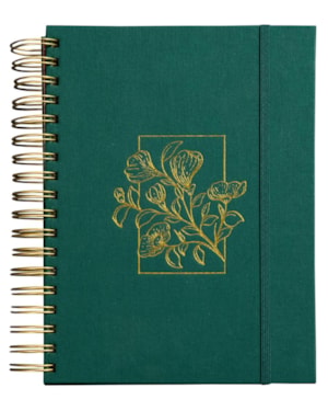 MEU PLANO PERFEITO, PLANNER SEM DATA, CAPA VERDE TECIDO SOBRE CAPA DURA | PLANNER 2026