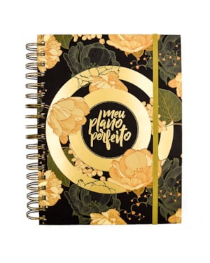 MEU PLANO PERFEITO, PLANNER SEM DATA COM CAPA DURA E ESPIRAL DUPLO, CAPA VERDE | PLANNER 2026