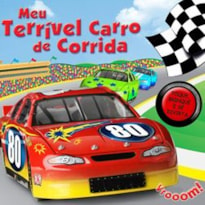 MEU TERRIVEL CARRO DE CORRIDA - 1